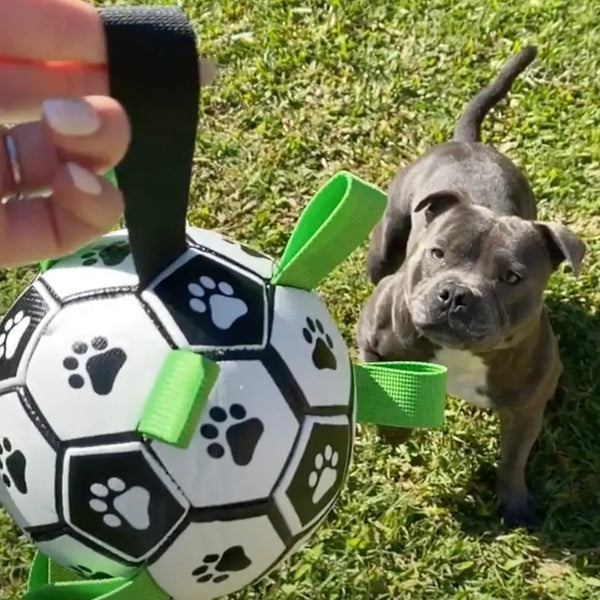 Ronaldog Soccer Ball - Happy Staffy Co
