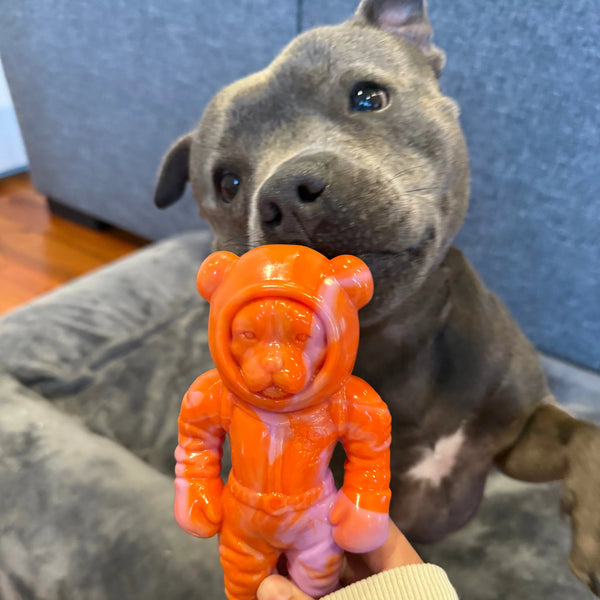 Astro Pup - Happy Staffy Co