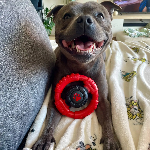 Power Chew Wheel - Happy Staffy Co