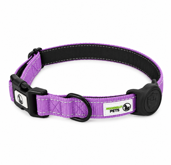 Dog Collar Nylon w/Reflective Stitching Padded AirTag Protector - Moondidley Pets