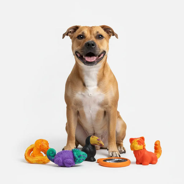 PowerFlex™ Jungle Trek Collection - Happy Staffy Co