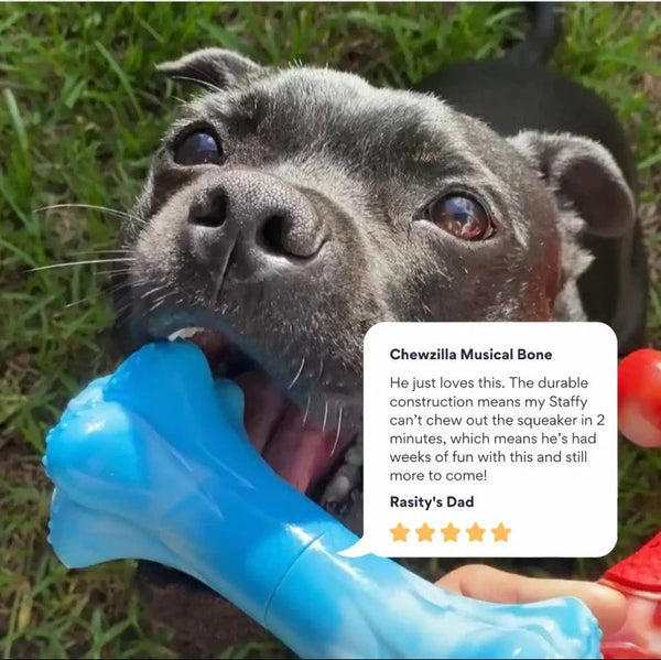 Chewzilla Musical Bone - Happy Staffy Co