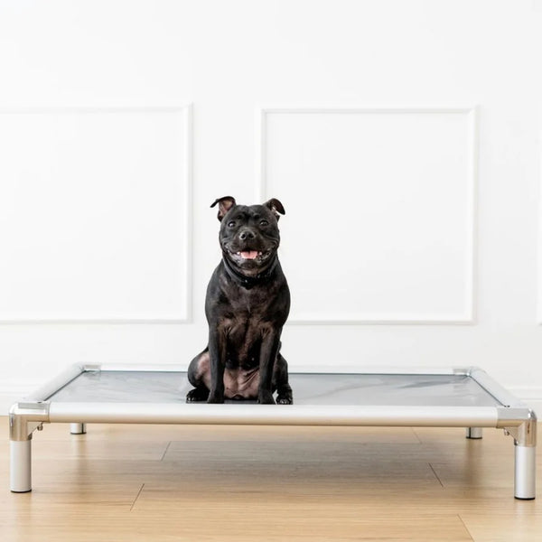 Chew-Proof Outdoor Dog Bed - Happy Staffy Co