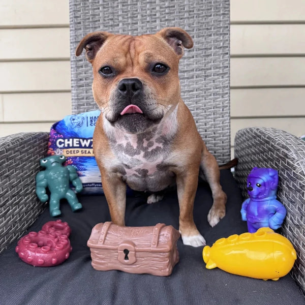 Chewzilla® Deep Sea Mission - Happy Staffy Co
