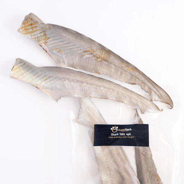 Shark Tail 4Pk - Aussie Pooch