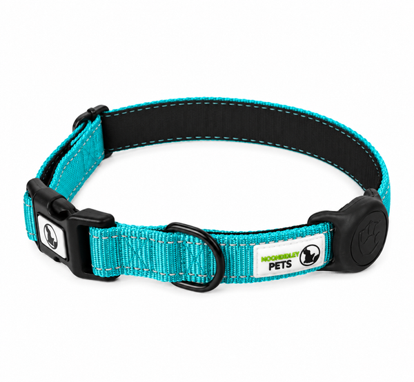 Dog Collar Nylon w/Reflective Stitching Padded AirTag Protector - Moondidley Pets