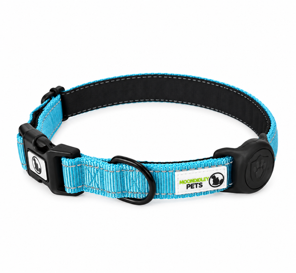 Dog Collar Nylon w/Reflective Stitching Padded AirTag Protector - Moondidley Pets