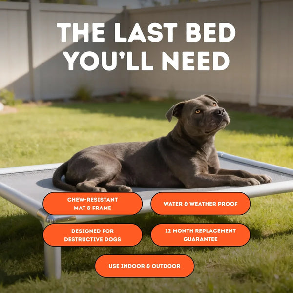 Chew-Proof Outdoor Dog Bed - Happy Staffy Co