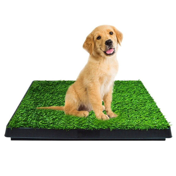 Floofi Pet Grass Training Potty 2 Piece Set