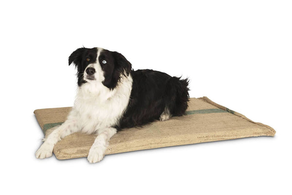 Large Hessian Pet Dog Puppy Bed Mat Pad House Kennel Cushion with Foam 100 x 69cm