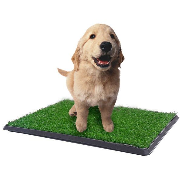 YES4PETS XL Indoor Dog Puppy Toilet Grass Training Mat Loo Pad Potty 76 X 51cm