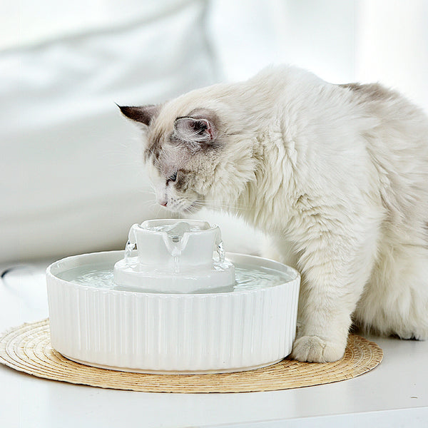YES4PETS Porcelain Electric Pet Water Fountain Dog Cat Ceramic Water Feeder Bowl Dispenser
