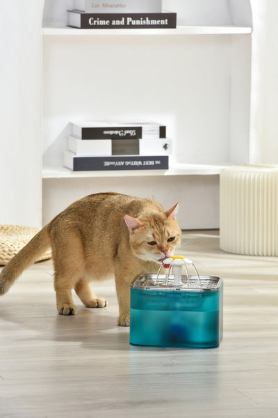 YES4PETS 3L Automatic Electric Pet Water Fountain Dog Cat Stainless Steel Dispenser Green