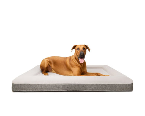 Fur King "Ortho" Orthopaedic Dog Bed - XL