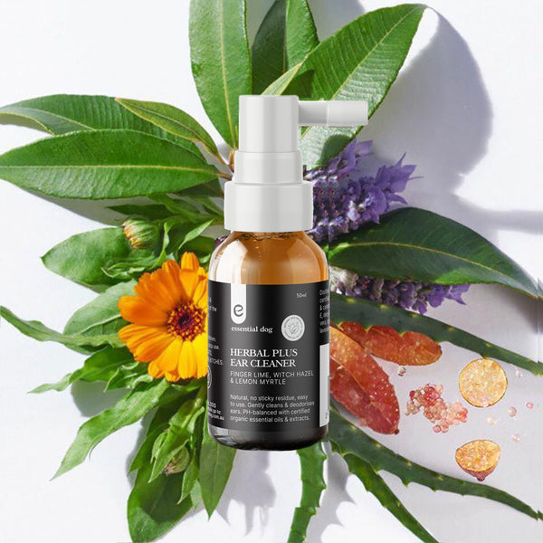 Herbal Plus Dog Ear Cleaner (Witch Hazel, Aloe & Lemon Myrtle)