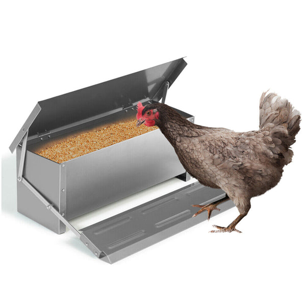 Automatic Chicken Feeder Poultry