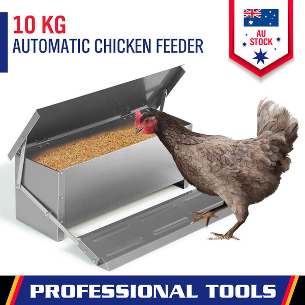 Automatic Chicken Feeder Poultry