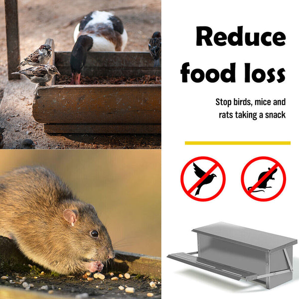 Automatic Chicken Feeder Poultry