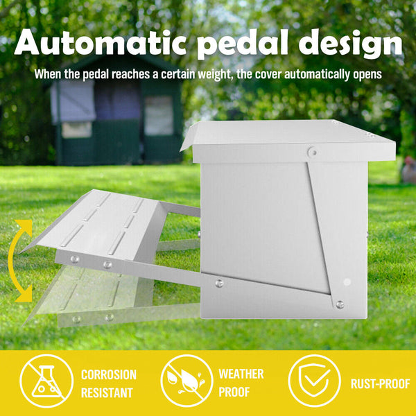 Automatic Chicken Feeder Poultry