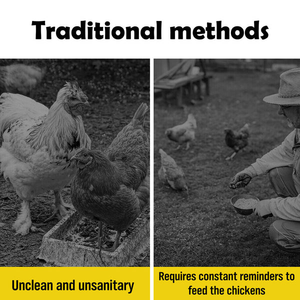 Automatic Chicken Feeder Poultry