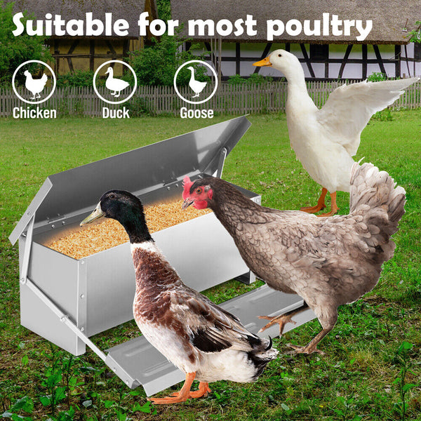 Automatic Chicken Feeder Poultry