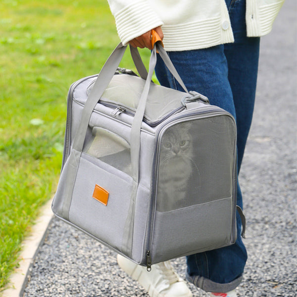 Foldable Soft-Sided Pet Carrier for Travel - Fits Cats & Small Dogs Under 6kg, with Removable Plush Bed & Shoulder Strap(grey)