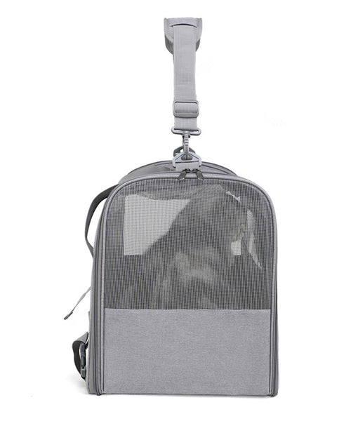 Foldable Soft-Sided Pet Carrier for Travel - Fits Cats & Small Dogs Under 6kg, with Removable Plush Bed & Shoulder Strap(grey)