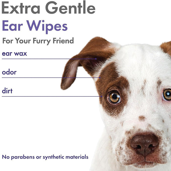 Petkin PLANT-BASED EAR WIPES Lavender Scented 80pk