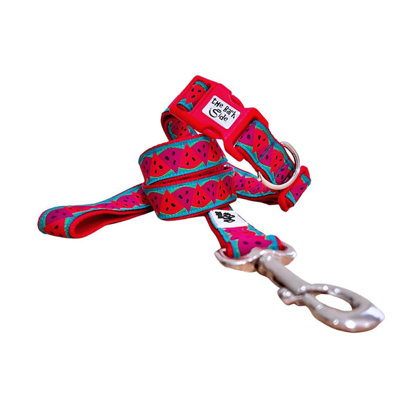 Watermelon Dog Lead / Dog Leash - Hand Made by The Bark Side