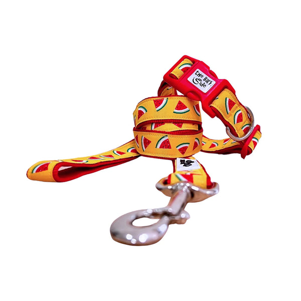 Watermelon Dog Lead / Dog Leash - Hand Made by The Bark Side
