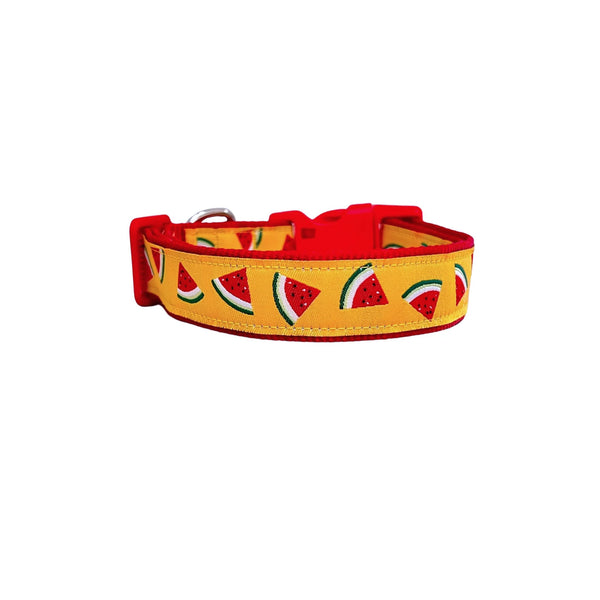 Watermelon Dog Collar - Hand Made by The Bark Side