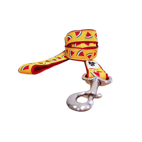 Watermelon Dog Lead / Dog Leash - Hand Made by The Bark Side