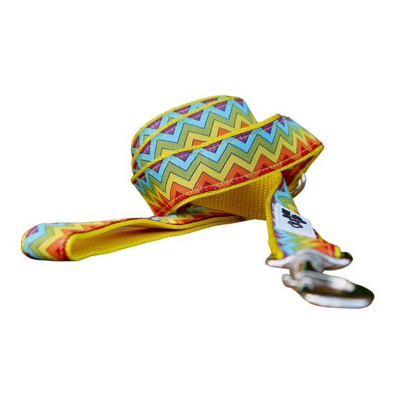 Rainbow Waves Dog Lead / Dog Leash - Hand Made by The Bark Side