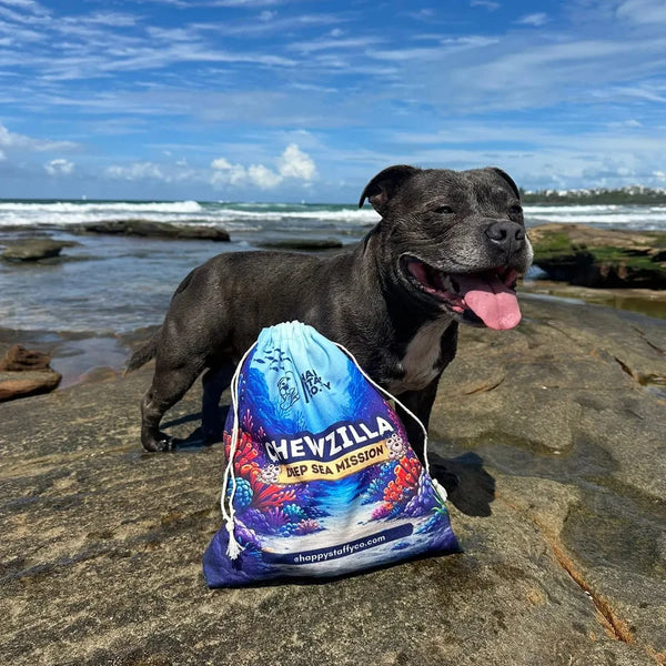 Chewzilla® Deep Sea Mission - Happy Staffy Co