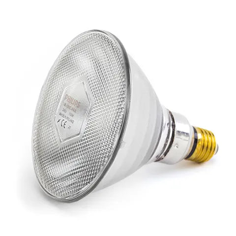 INFRARED LIGHT BULB - BAINBRIDGE