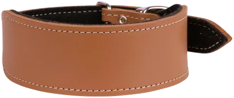 Greyhound Felt Lined Leather Collar - Beau Pets