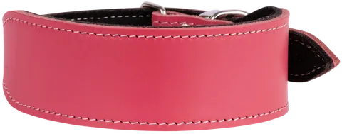 Greyhound Felt Lined Leather Collar - Beau Pets