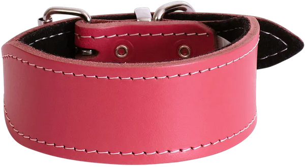 Leather Whippet Plain Dog Collar - Beau Pets