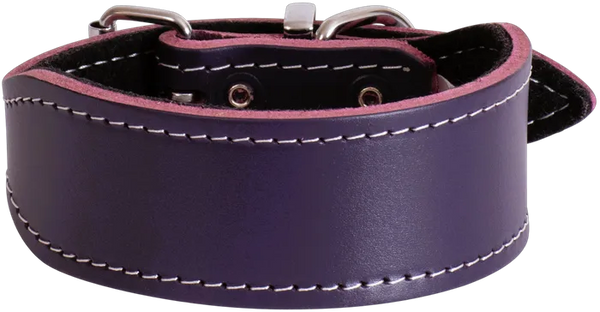 Leather Whippet Plain Dog Collar - Beau Pets