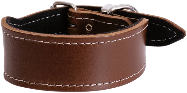 Leather Whippet Plain Dog Collar - Beau Pets