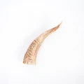 Goat Horn w/Marrow