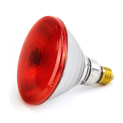 INFRARED LIGHT BULB - BAINBRIDGE