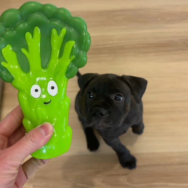 Broccoli Crunch - Happy Staffy Co
