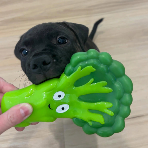 Broccoli Crunch - Happy Staffy Co