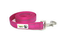 3m Long Nylon w/Reflective Stitching Dog Lead - Moondidley Pets