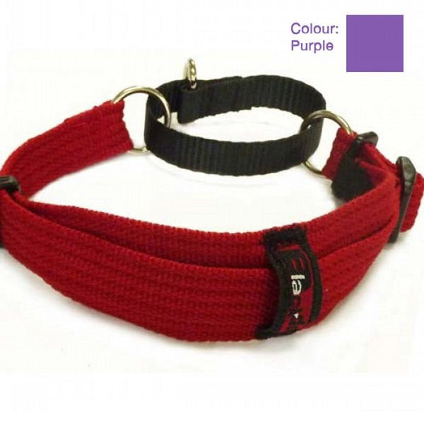 Whippet Dog Collar - Blackdog