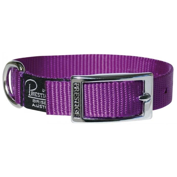 Dog Collar Single Layer Nylon Belt Buckle Style 3/4" Wide Prestige