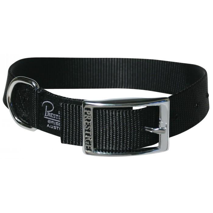 Dog Collar Single Layer Nylon Belt Buckle Style 1" Wide Prestige