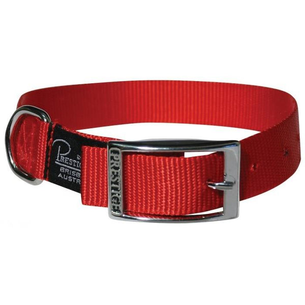 Dog Collar Single Layer Nylon Belt Buckle Style 3/4" Wide Prestige