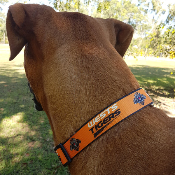 Dog Collars - NRL Footy Pets